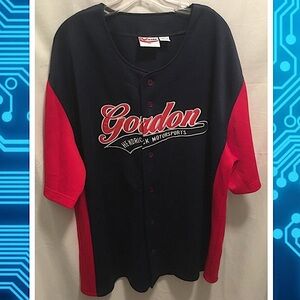 Chase Authentics-Jeff Gordon button down J…